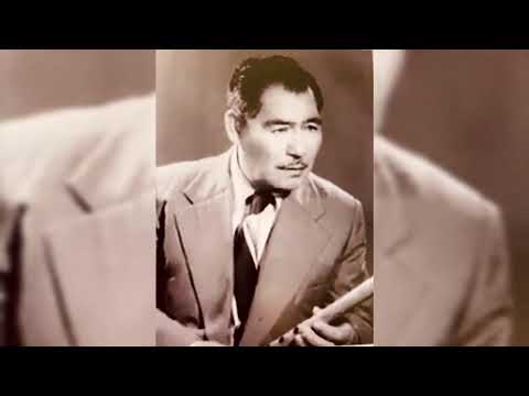 DOLOR INDIO - Alejandro Vivanco