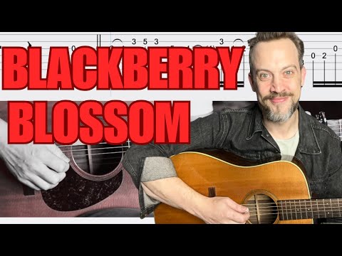Flatpicking Variations On Blackberry Blossom (NEW!)