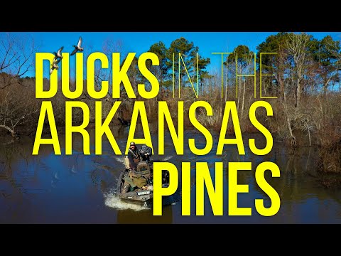 Higdon Outdoors TV - 1107 - "Ducks in the Arkansas Pines"