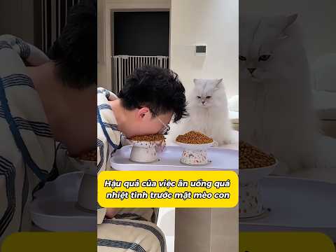 Hậu quả của việc ăn uống quá nhiệt tình trước mặt mèo con #cat #pets #funny
