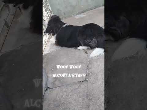 10 de noviembre de 2025