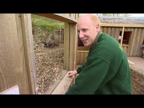 Animal Park: Season 6 Episode 15 (Wildlife Documentary) | Full Documentary