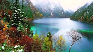 The way you look tonight by the Lettermen-lyrics