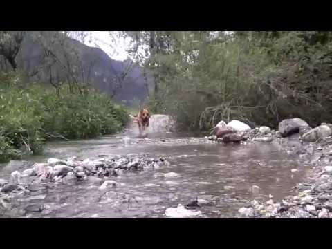 LA FILARMONICA DI PEPE NERO - Note biografiche