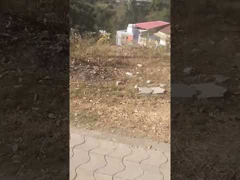 @nature care @animal lvr @dog care taker @all