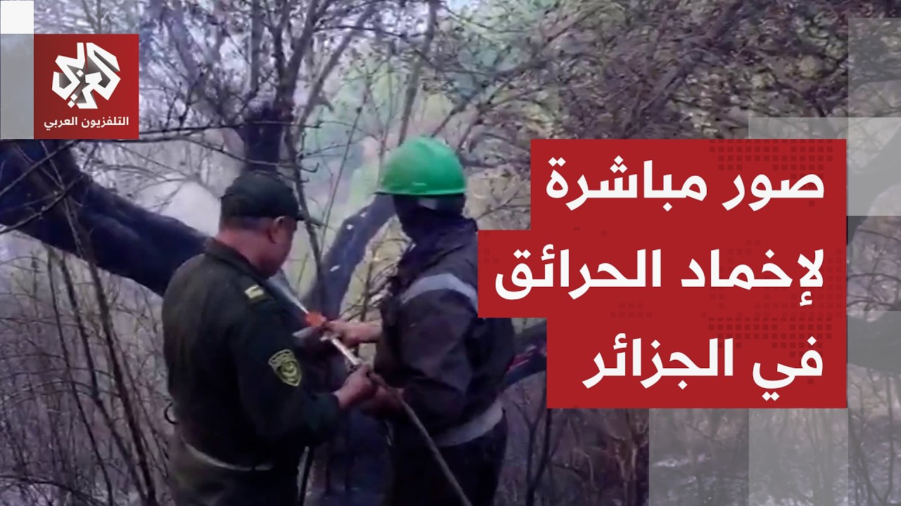 بؤر نارية تداهم المواطنين وتلتهم غابات الجزائر.. كاميرا التلفزيون العربي ترص