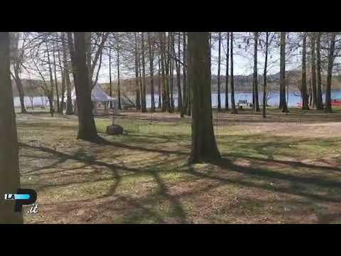https://img.youtube.com/vi/xcXO6vp8HbY/0.jpg