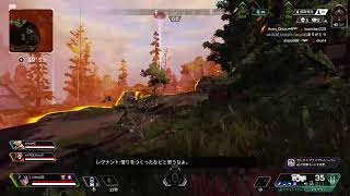 毎日APEX 41日ソロロ