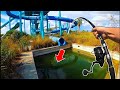 Big Fish In The Abandoned Water Park