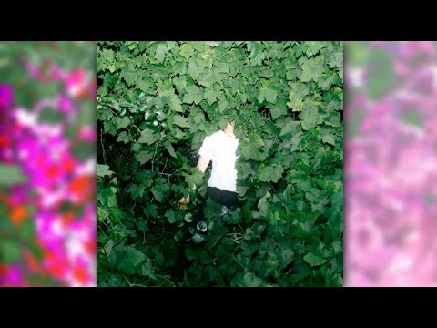 Fifty Grand - Sudden Loss (SLOWED)