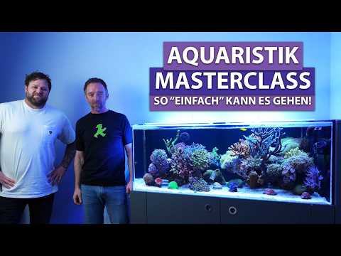 UNGLAUBLICHES Aquarium! Dirks Meisterwerk ohne Geheimnisse! - New Wave