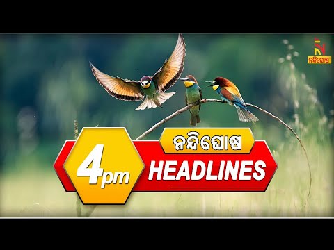 Headlines @4PM | 6th November 2022 | NandighoshaTV