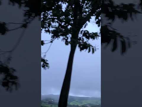 A chuva que renova tudo . 📍Pilar de pias .