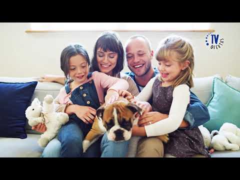 thumbnail video image 2 of Funda de Monstruo para Cama de Mascota Peaceful Pooch/ Pet Boutique Extra Suave TV Ofertas Monstruo, 2 of 9