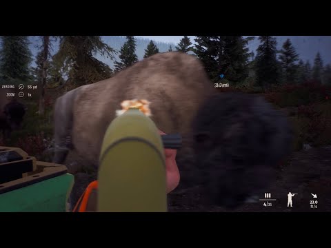 Way of the hunter! Shotgun on a kill streak!!