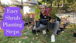Follow this Guide to Plant Shrubs the Right Way - Tutorial for Beginner Gardeners