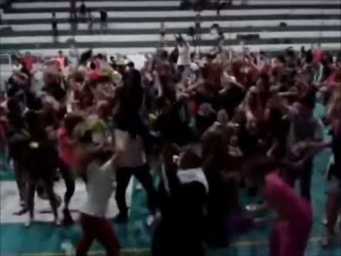 HARLEM SHAKE XX COPAFARMA