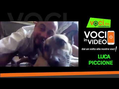 Titolo Video