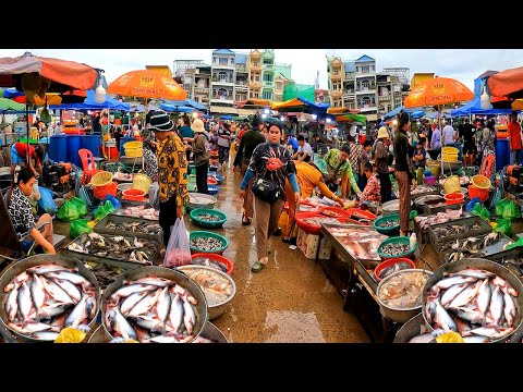Cambodian Wet Market in Morning. Wet Market has a lot of live Fish, Both Small and Large