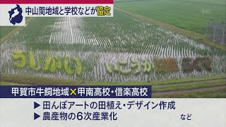 11月5日 びわ湖放送ニュース