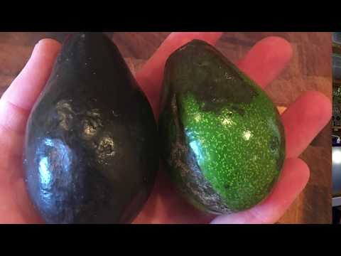 download lagu mp3 mp4 Mexican Cookware Uk, download lagu Mexican Cookware Uk gratis, unduh video klip Mexican Cookware Uk