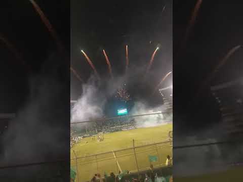 "Dale dale ver hoy te venido alentar..." Barra: Frente Radical Verdiblanco &bull; Club: Deportivo Cali