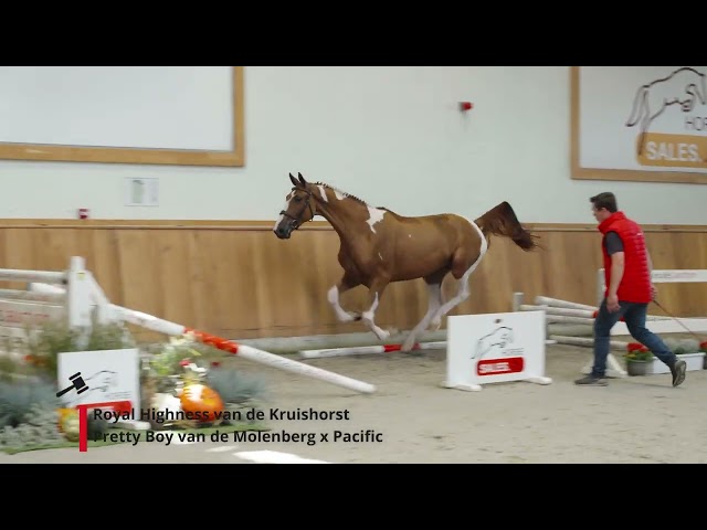 Royal Highness van de Kruishorst