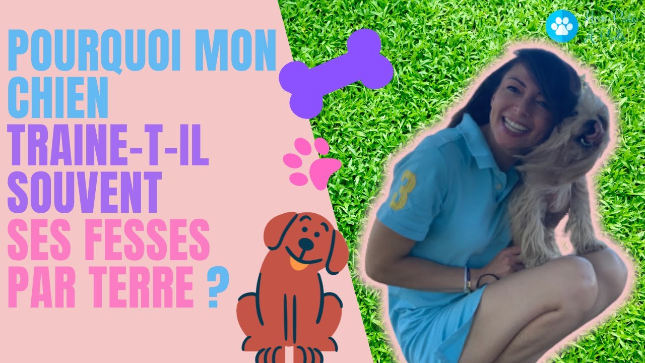 POURQUOI MON CHIEN TRAINE-T-IL SOUVENT SES FESSES PAR TERRE 🐕 Restez jusqu’au bout de la vidéo !🐾