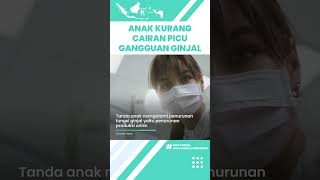 Anak Kekurangan Cairan Bisa Picu Gangguan Ginjal, Begini Cara Mencegah Penyakit Gagal Ginjal