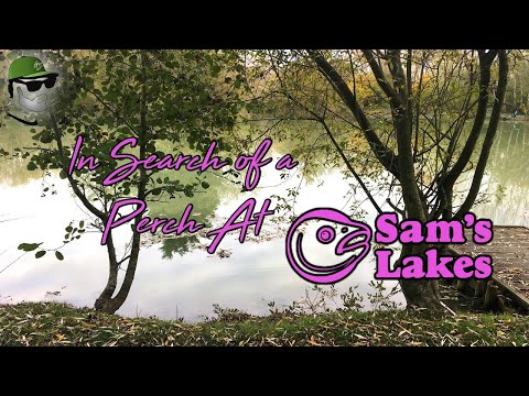 In Search Of A Perch At Sam's Lakes