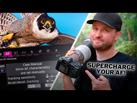 Reparieren Sie Ihren Autofokus! Wichtige Autofokus-Optimierungen, die NUR Profis kennen! + Spezie...