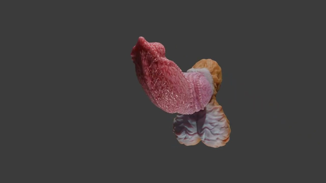 Furry Fantasy Hull Werewolf Penis Sextoy Rigged 3D Model
