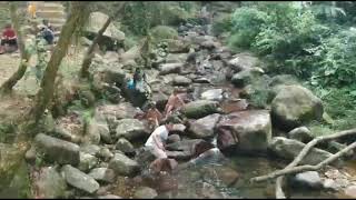 preview picture of video 'Wisata Taman Nasional Gunung Halimun Salak Cidahu...  Blok ujung ( KANCIL CAMP)'