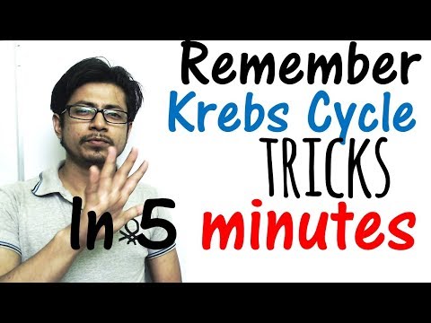 Krebs cycle trick made easy | Remember Krebs cycle in 5 minutes