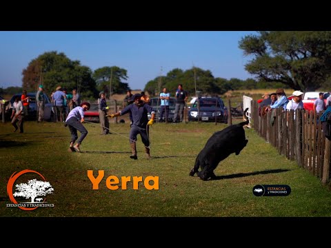 196 Yerra en Campo El Ensueño - Estancias y Tradiciones