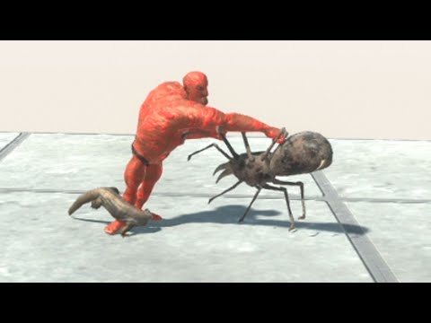 SPIDER & COMODO vs EVERY UNIT   Animal Revolt Battle Simulator