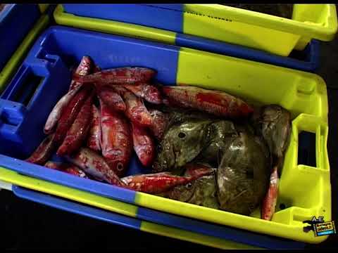 Lorient la ville aux 5 ports Vidéo film Bretagne  extrait du film "Le pays de Lorient" de A.Espern