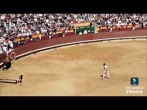 1a Parte Gran Final Campeonato de España Castellon