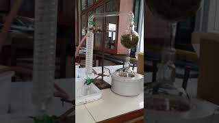 Steam distillation of eucalyptus leaves
