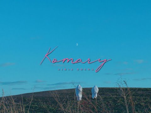 Wieczór z Linią Nocną. Premiera płyty "Szepty i dropy"