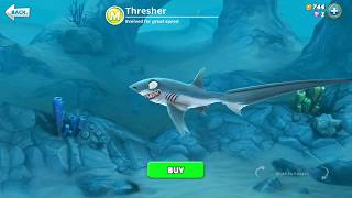hungry shark world Thresher (3D Motion)