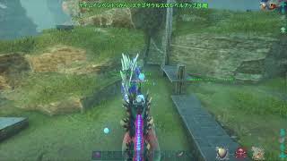 ARK  公式PVP　お散歩