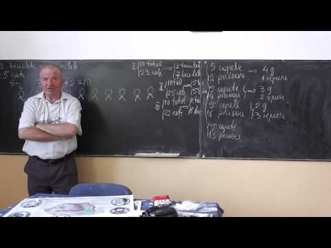 Lectia 247 - Dezvoltatea gandirii prin probleme de aritmetica cu George si Bogdan clasa 3 Matematica