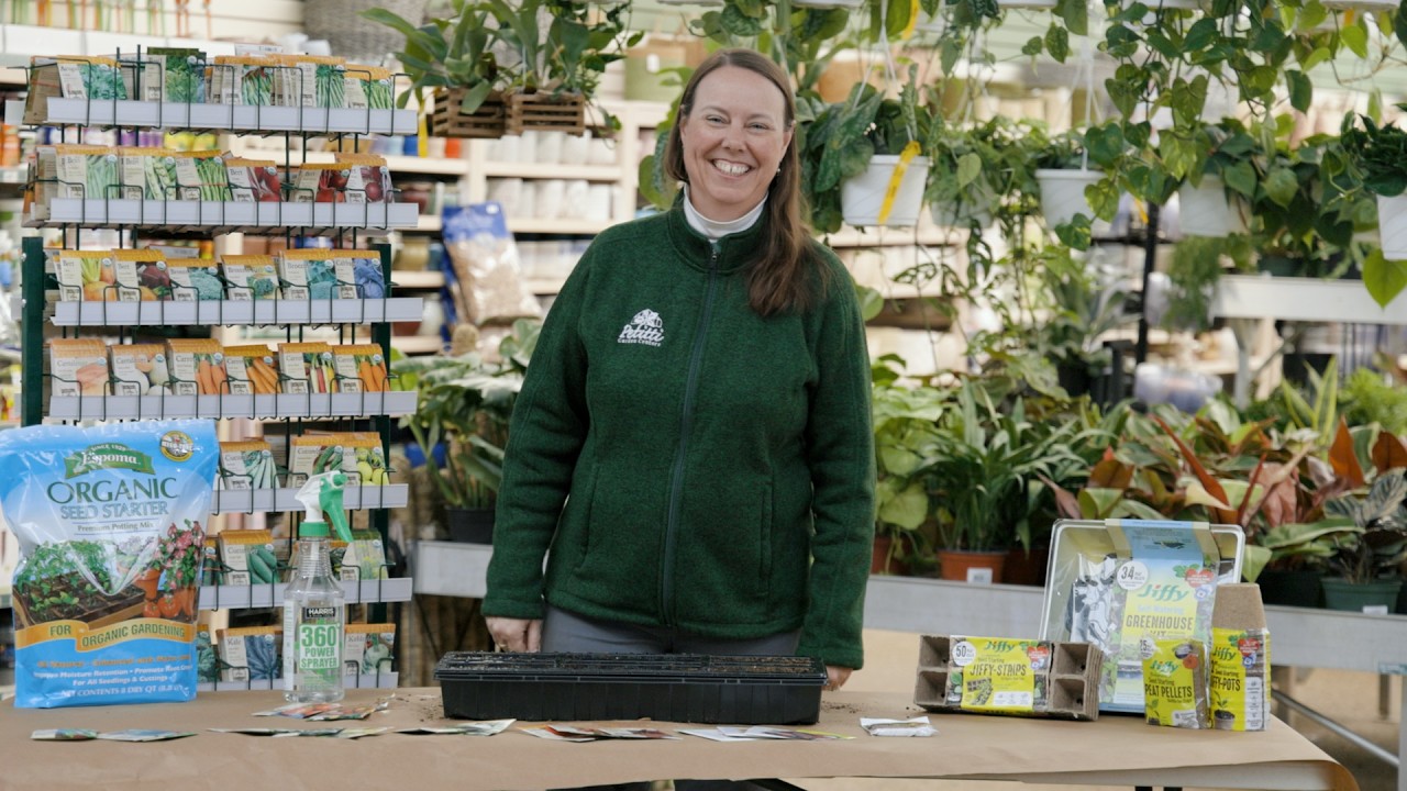 PETITTI | PETITTI | How to Start Warm Crop Seeds Indoors in Early Spring