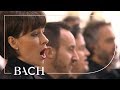 Bach Cantata Jesus Nahm Zu Sich Die Zwölfe BWV 22 Kuijken Netherlands Bach Society