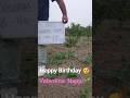 Happy Birthday To You From Nature Valenappi Valentinanappi Valentina Happybirthday Nature