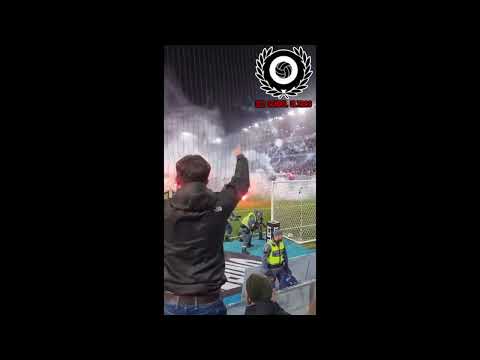 Hooligans  Malmö FF - IF Elfsborg 12-11-2023 .