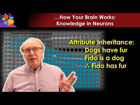 Built With Neurons: A Knowledge Graph with Inherited Attributes