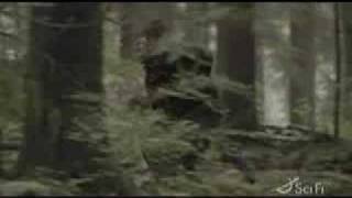 Scary Kisses - John/Teyla SGA