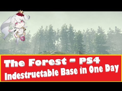 The Forest Beginners Guide to Building Your First Base